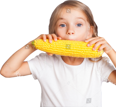 Sweetcorn - Feature Image