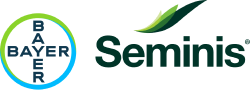 Seminis_BayerCross_Logo_Screen_RGB 1