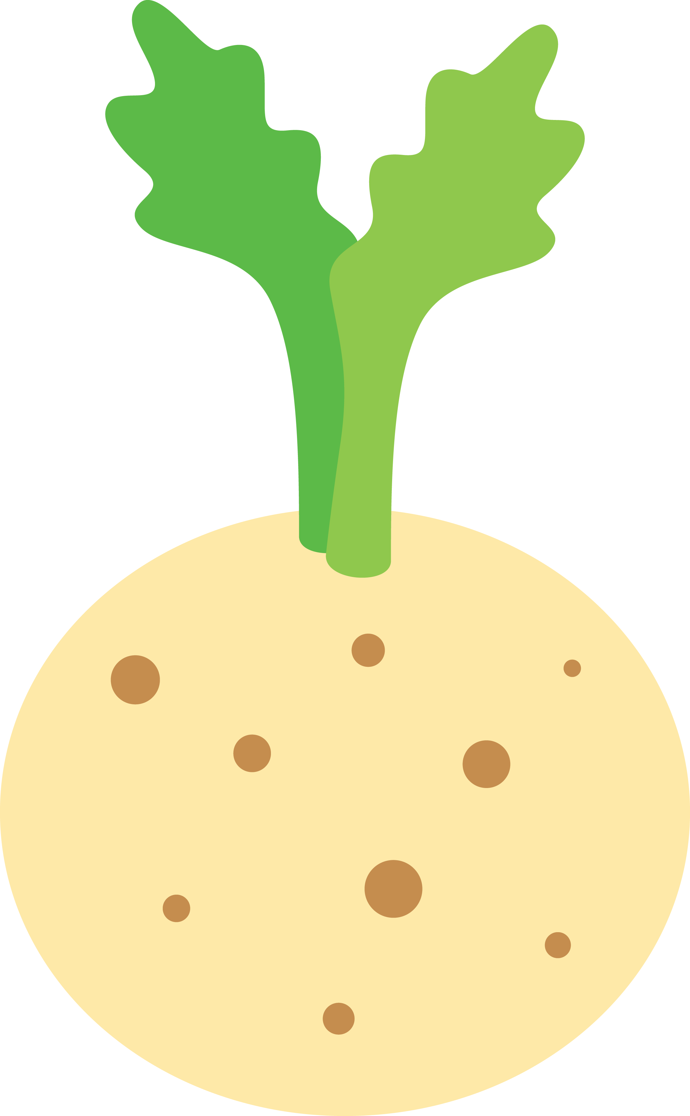 Celeriac icon