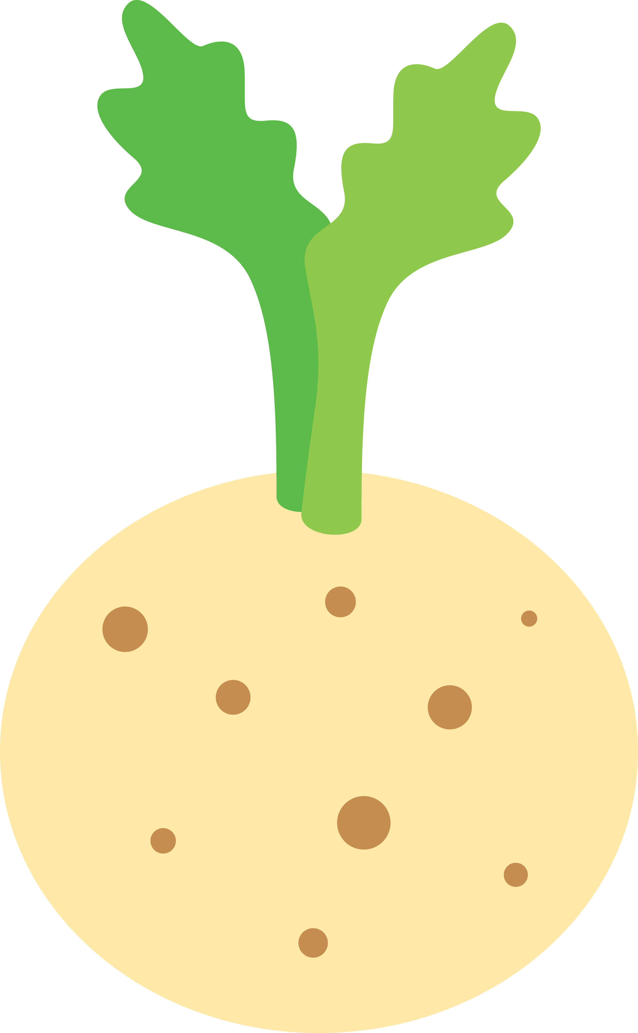 Celeriac icon