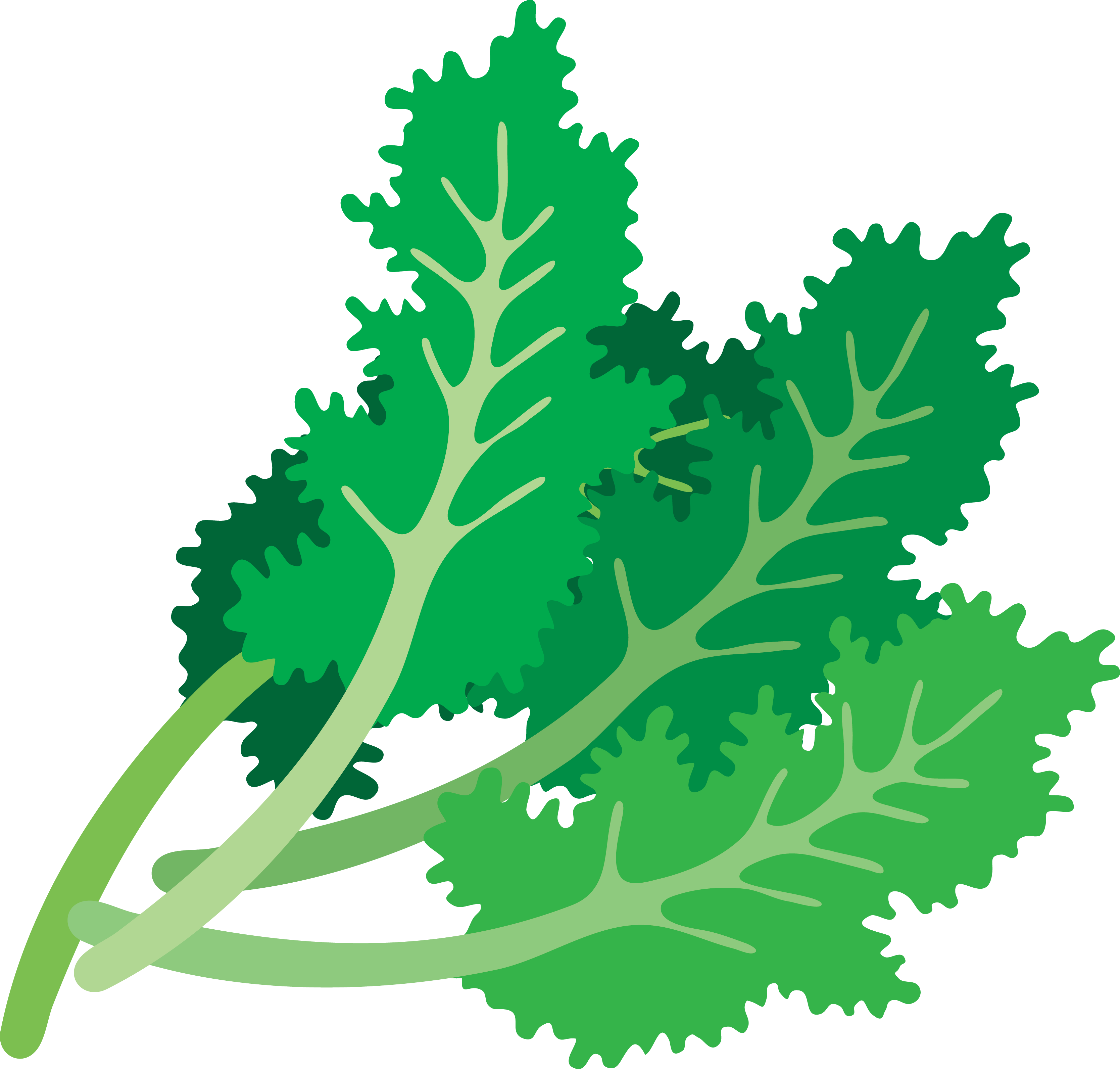 Kale