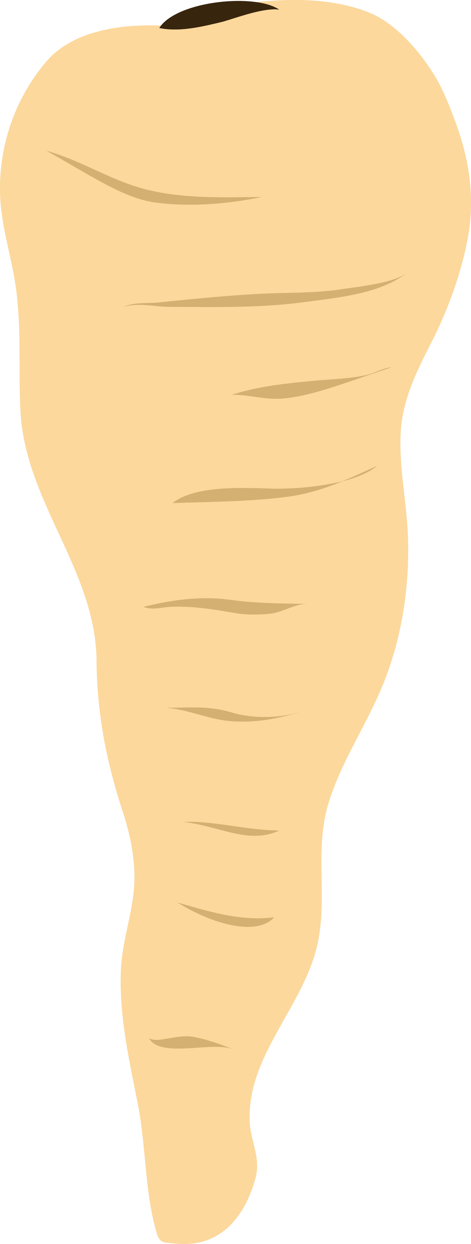 Parsnip icon