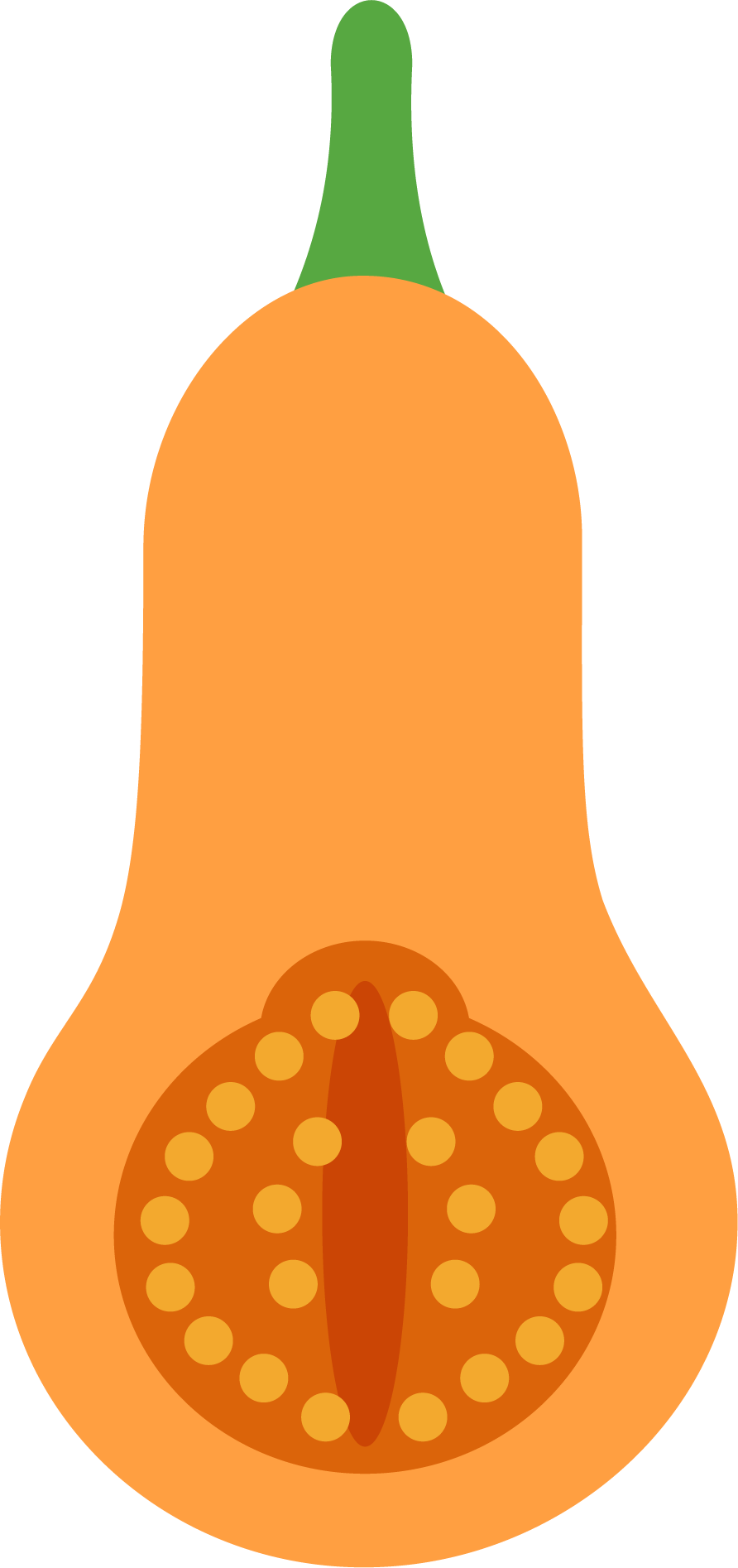 butternut squash icon