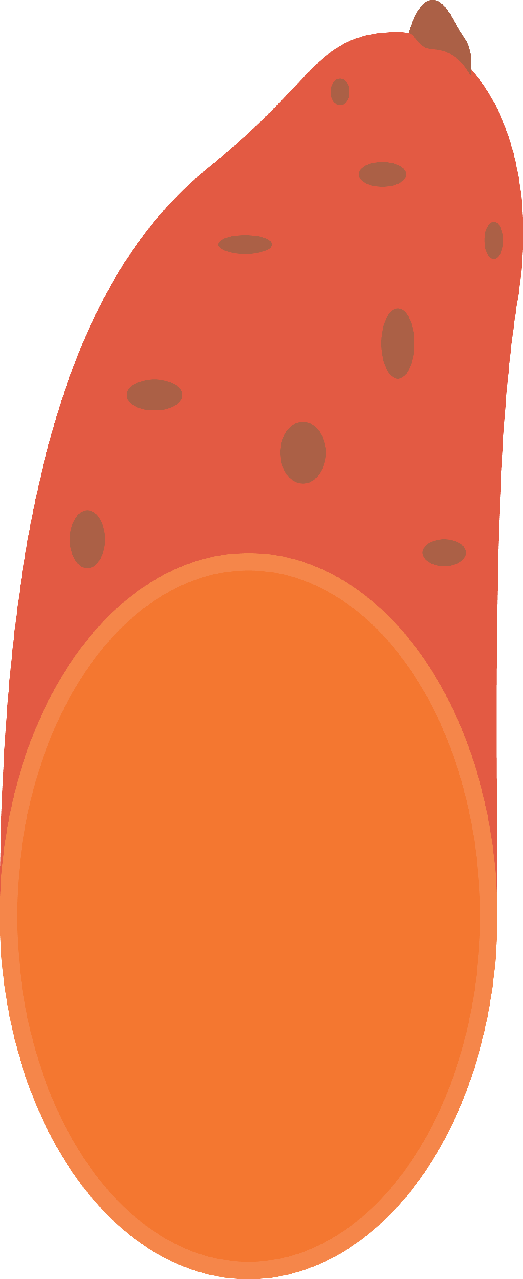 Sweet Potato icon