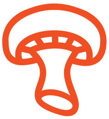 mushroom-orange-icon