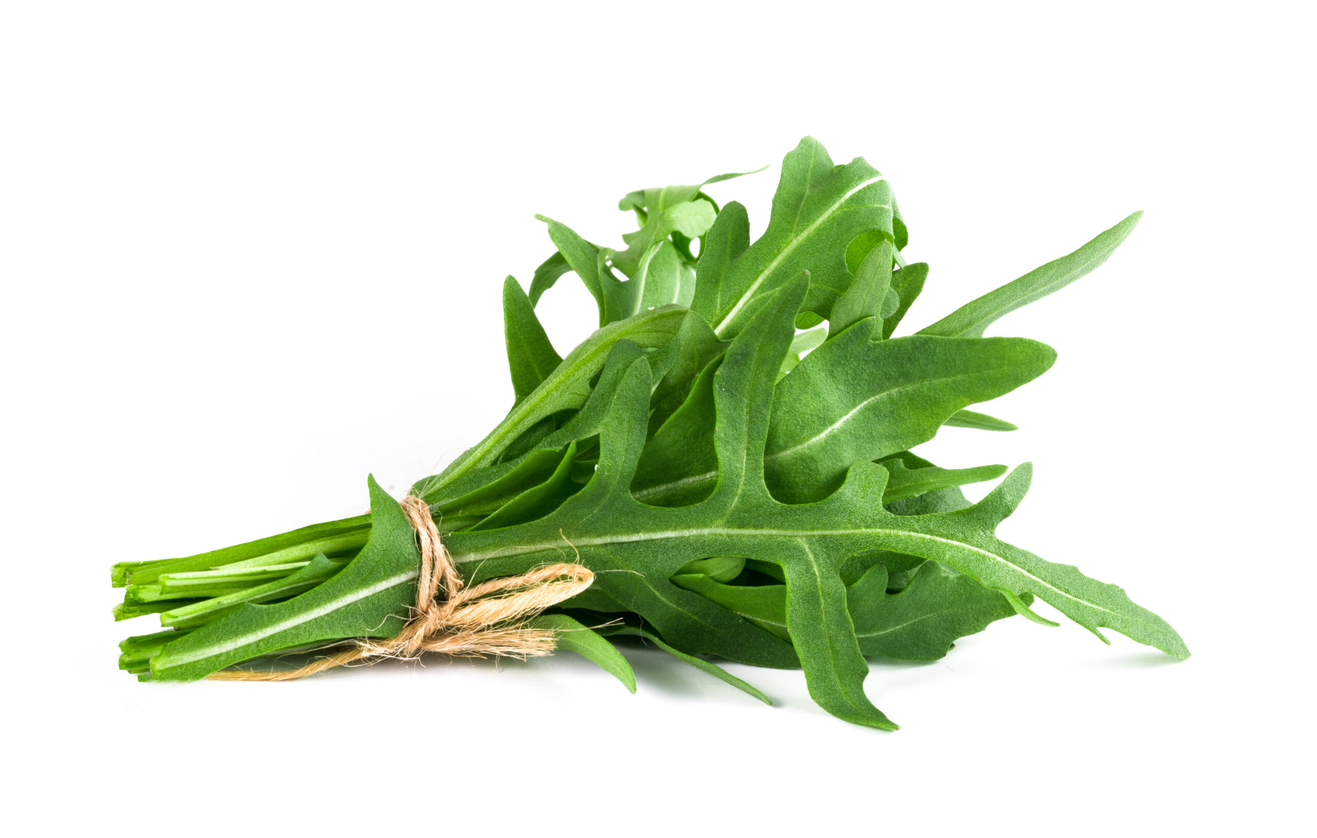 Rocket Veg Power