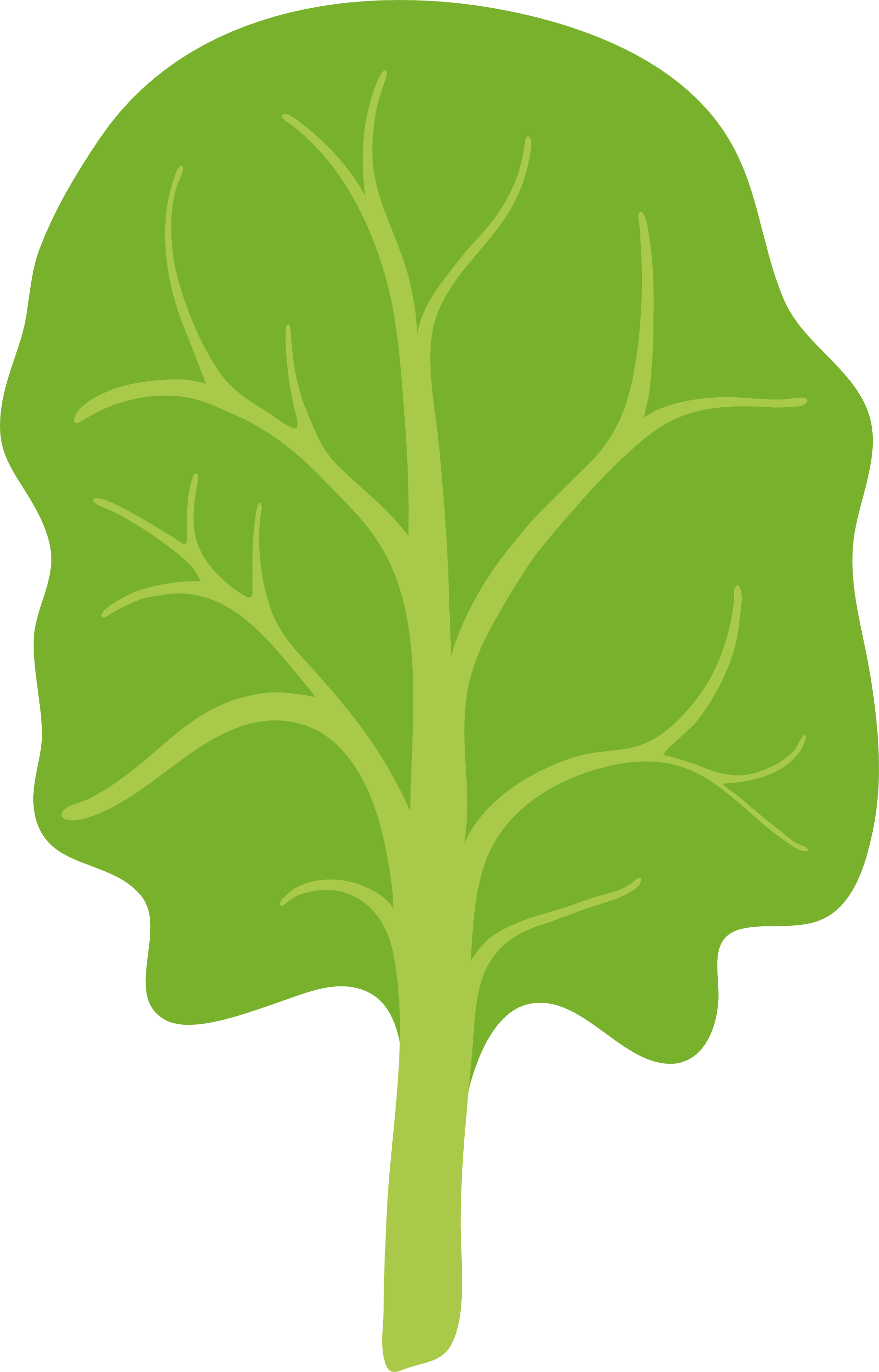 spinach icon