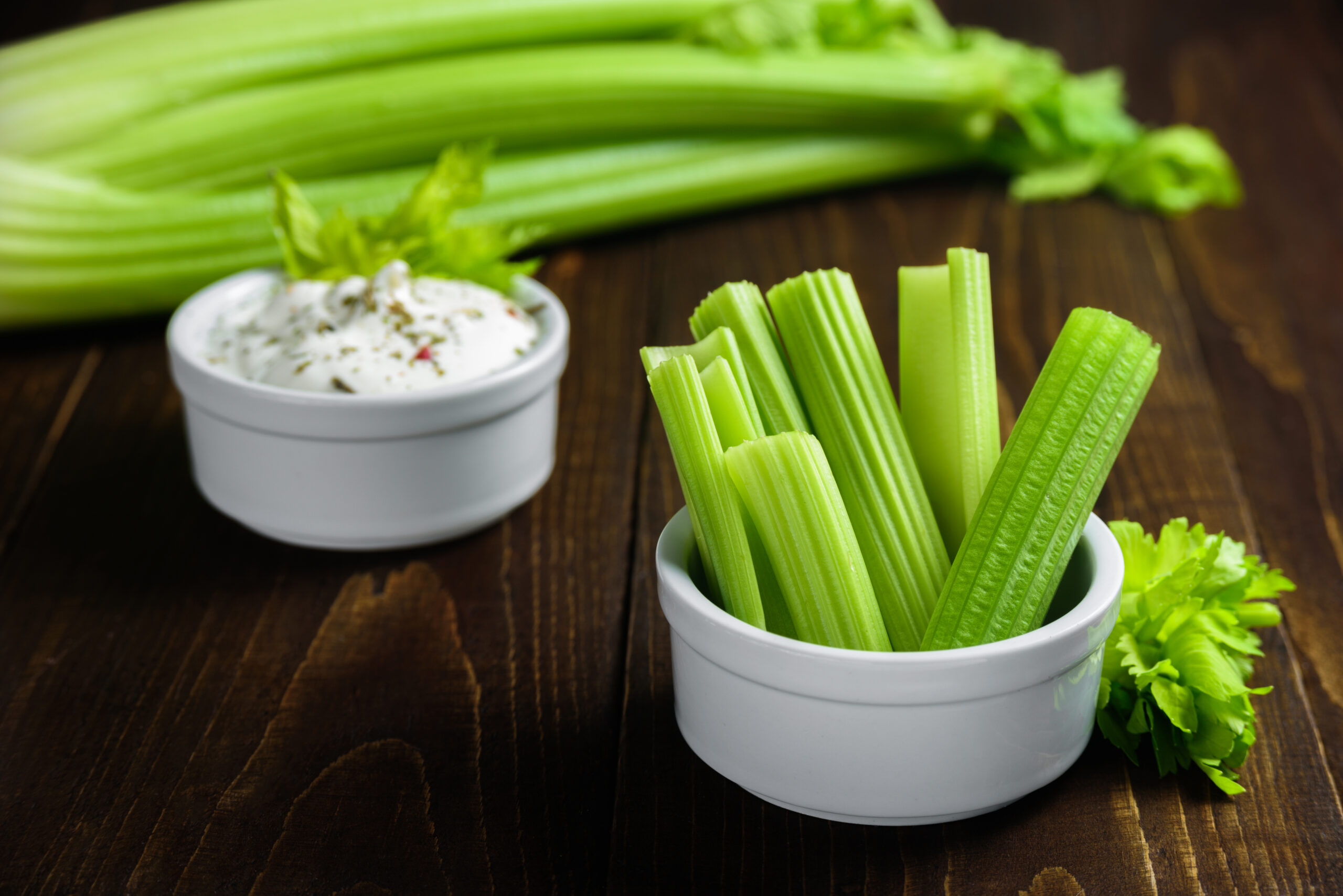 Celery,Sticks,In,Ceramic,Bowl,With,Greek,Yogurt,Sauce