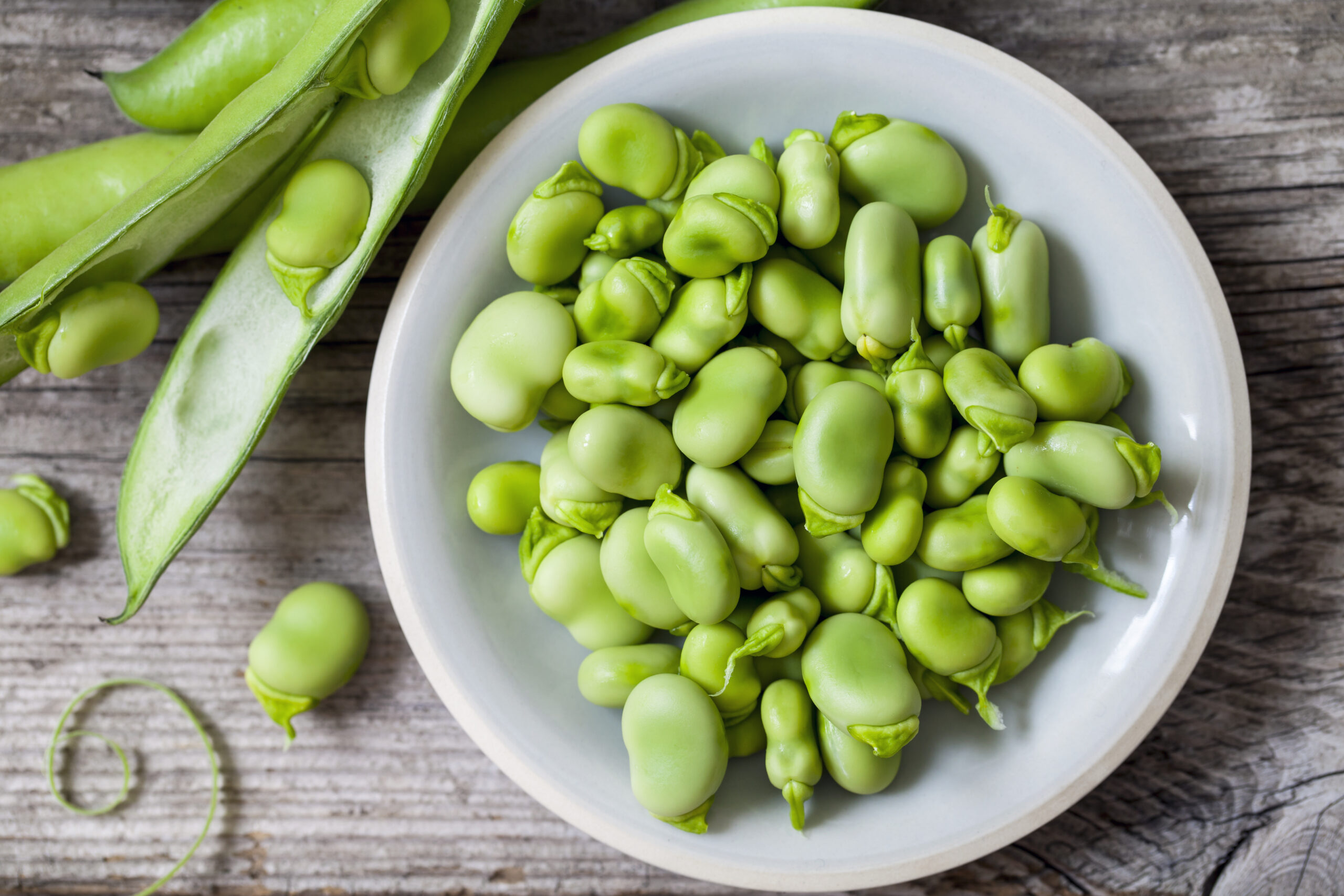 Fresh,Broad,Beans