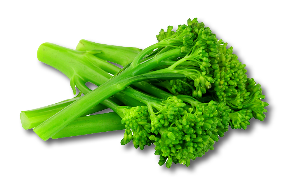 tenderstem-broccoli