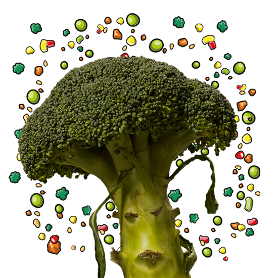 fb-ettdt-broc